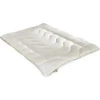 Badenia irisette 4-Jahreszeiten-Steppbett Irisette Greenline Cyclafill Eco Größe 200 x 200 cm