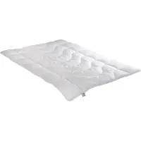 Badenia irisette Steppbett Irisette Lotte leicht Größe 155x220cm
