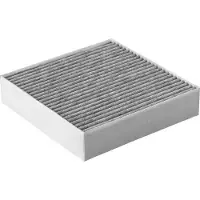 Oranier Aktiv-Kohlefilter P 300, 9209 30 Original