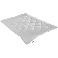 Badenia irisette Steppbett Irisette Greenline Kamelhaar ECO Duo Größe 135 x 200 cm