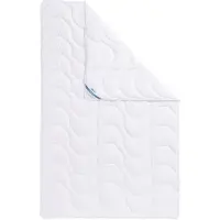 Beco Sommerbettdecke Antibac, 155 x 220 cm, Technischer Überwachungsverein SÜD "gut", ideal für Hausstauballergiker & hygienebewusste Personen