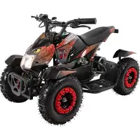 Actionbikes Motors Elektro Kinderquad Cobra | 800 Watt - Pocket Quad bis 24 km/h - Elektroquad - Kinder Fahrzeug - Mini Quad - Elektroauto - Batterie (Rot/Schwarz)