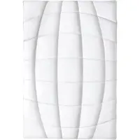 Frankenstolz Allergo 155x220 cm Vierjahreszeiten-Steppbett