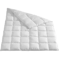 TRAUMSCHLAF Daunendecke Arktis medium, Füllung: 90% Daunen, 10% Federn 200x200 cm