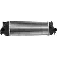 RIDEX 468I0331 Ladeluftkühler LLK für SUZUKI Grand Vitara II SUV (JT, TE, TD) Turbo Intercooler
