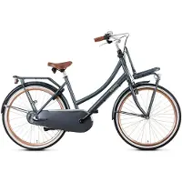 POPAL Daily Dutch Basic+ N3 - Kinder Hollandrad - 26 Zoll - Petrolblau