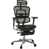 Hjh OFFICE Luxus Chefsessel ERGOHUMAN PLUS LEGPRO GEN2 Ergonomischer Bürostuhl mit Armlehnen (höhenverstellbar) Netzstoff Drehstuhl für Büro, Zuhause