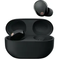 Sony Kabellose Noise Cancelling Kopfhörer,Bluetooth, In-Ear-Kopfhörer, Mikrofon,24 Stunden Akkulaufzeit, Schnellladefunktion,IPX4, iOS & Android kompatibel