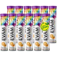 EVÄM Multivitamin Plus Brausetabletten – 10 Vitamine in 1 Tablette-vegan, made Germany- 12er Pack 240 St
