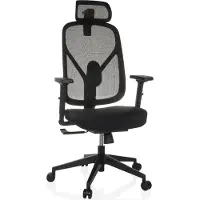 Hjh OFFICE Profi Bürostuhl RALOO ECO Ergonomischer Schreibtischstuhl mit Armlehnen (höhenverstellbar) Stoff / Netzstoff Schwarz Drehstuhl für Büro, Zuhause