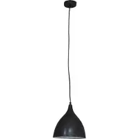 Näve Pendelleuchte; Farbe: schwarz, 6071722