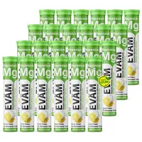 EVÄM Magnesium Brausetabletten – 375 mg Magnesium je Tagesportion, Zitrone – 24 Tuben à 20 Stück (480 Tabletten)