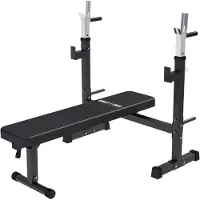 Gorilla Sports Hantelbank - mit Ablage, Verstellbar, Klappbar, Flach, bis 200/300 kg, Stahl, Schwarz - Trainingsbank, Fitnessbank, Bankdrücken Bank