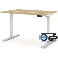 Assmann Elektrisch höhenverstellbarer Schreibtisch Y-Line Eiche Natura Weiß, 120x80cm, Memoryfunktion, Kollisionsschutz, 2-fach-Motorik
