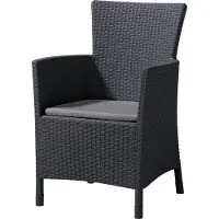 Allibert 7332543575435