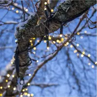 Star Trading LED-System-Lichterkette 465-06-8