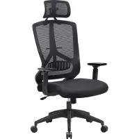 Songmics Bürostuhl ergonomischer Drehstuhl mit Lendenwirbelstütze schwarz