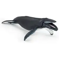 Papo Buckelwal, 3 Jahr(e), Marine life, Schwarz, Weiß, PVC