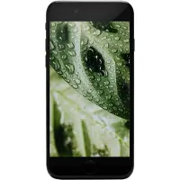 Apple #GOECO iPhone SE (2020) 64GB Schwarz Premium Refurbished