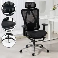 Ambiness Bürostuhl Schreibtischstuhl | verstellbare Armlehnen & Kopfteil | Ergonomisch | stufenlos verstellbare Lendenstütze | inkl. 2 Rollensets | bis 150kg | BackPro Mesh-Chrome