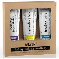 Anwen Haarpflege-Set für mittelporöses Haar: Proteiner Grüner Tee 100 ml + Emollient Iris 100 ml + Feuchtigkeitsspendender Flieder 100 ml