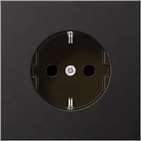 JUNG SCHUKO-Steckdose 16A 250V AL 1520 KI D AL1520KID