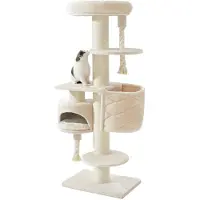 Nobby Kratzbaum Cupid XL cream