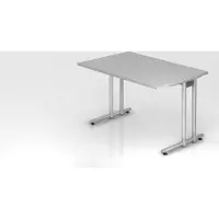 Proregal - Büromöbel mit top Leistungsdaten Schreibtisch Mauno | Grau | BxT 120x80cm | Arbeitshöhe 72cm | höhenjustierbar 0-10 mm | C-Fuß-Gestell Silber | Rechteckform