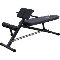 Gorilla Sports Hantelbank - Verstellbar, Hyperextension, bis 250kg - Multifunktion Trainingsbank, Schrägbank, Bauch und Rückentrainer, Fitness Bank