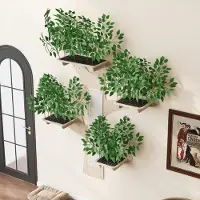 STILVORA Kratzbaum mit Kratzflächen und Plattformen, Katzenkletterwand dekorativ und stabil, Wandkratzbaum Wandmontage in Baumform aus Kiefernholz