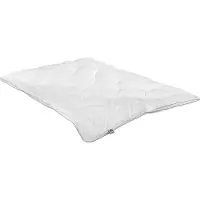 Badenia irisette IRISETTE Gerda 200x200 cm, Vierjahreszeiten-Steppbett