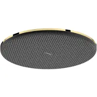 Hansgrohe 24523990 Kopfbrause Raindance Alive Q