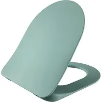 Creavit WC-Sitz Nilgrün Softclose Duroplast mit Edelstahlscharnieren Inox Absenkautomatik