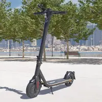 VIRON Elektro Scooter mit Straßenzulassung ABE E-Scooter 20 km/h Aluminium Elektroroller eKFV Zulassung Faltbar Roller EScooter - carbon