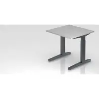 Proregal - Büromöbel mit top Leistungsdaten Schreibtisch Mika | Grau | Graues Gestell | BxT 80x80cm | Arbeitshöhe 65-85cm | höhenjustierbar, 1cm Raster | C-Fuß-Gestell | Rechteckform