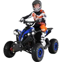 Actionbikes Motors Elektro-Kinderquad Reneblade | 1000 Watt - Kinder Pocket Quad bis 24 km/h - Elektroquad - Elektro Auto - LED - 12V Batterie - Bis 65 Kg (Schwarz/Blau)