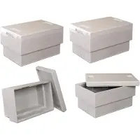 BRB-Lagertechnik 4 Thermoboxen mit Deckel, LxBxH 545x350x300 mm, Volumen 31,6 Liter, aus EPS, grau
