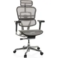 Hjh OFFICE Luxus Chefsessel ERGOHUMAN GEN2 Ergonomischer Bürostuhl mit Armlehnen (höhenverstellbar) Netzstoff Drehstuhl für Büro, Zuhause