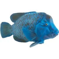 Small Foot Mojo Fun Blue Groper (Portugal), 3 Jahr(e), SEALIFE, Blau, Grau, Polyvinylchlorid (PVC)