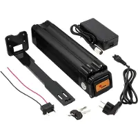 Maratron Komplett-Set: Akku 24V (25,9V) 12Ah 288Wh SilverFish schwarz mit Ladegerät und Halterung