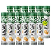 EVÄM Magnesium + B-Komplex Brausetabletten – 300 mg Magnesium + Vitamin B1, B2, B6, B12, Orange – 12 Tuben à 20 Stück (240 Tabletten)