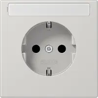 JUNG LS1520NALG SCHUKO Steckdose mit Schrift für