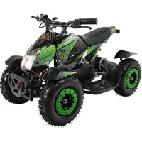 Actionbikes Motors Elektro Kinderquad Cobra | 800 Watt - Pocket Quad bis 24 km/h - Elektroquad - Kinder Fahrzeug - Mini Quad - Elektroauto - Batterie (Grün/Schwarz)