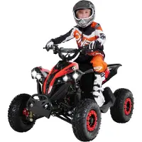 Actionbikes Motors Elektro-Kinderquad Reneblade | 1000 Watt - Kinder Pocket Quad bis 24 km/h - Elektroquad - Elektro Auto - LED - 12V Batterie - Bis 65 Kg (Schwarz/Rot)