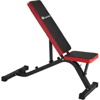 TecTake Hantelbank mit Schnellverstellung rutschfest, 116 x 51 x 122 cm