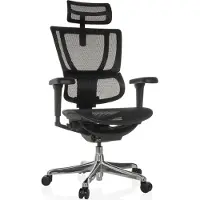 Hjh OFFICE Luxus Chefsessel ERGOHUMAN SLIM ULTRA GEN2 Ergonomischer Bürostuhl mit Armlehnen (höhenverstellbar) Netzstoff Drehstuhl für Büro, Zuhause