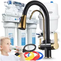ARI Wasserfilter Set RO7 mit 3-Wege Küchenarmatur Nordic Schwarz-Gold, 7-stufige Umkehrosmose, Mineralisierung