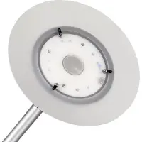 Hamelin Variaglass Led, Grau, Metallisch, Universal, Stahl, 1 Glühbirne(n), 30,7 W, LED