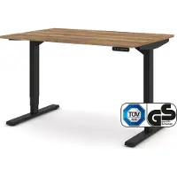 Assmann Elektrisch höhenverstellbarer Schreibtisch Y-Line Eiche Tabak Schwarz, 120x80cm, Memoryfunktion, Kollisionsschutz, 2-fach-Motorik