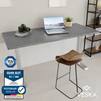 Veska Höhenverstellbarer Schreibtisch (140 x 70 cm) - Sitz- & Stehpult - Bürotisch Elektrisch Höhenverstellbar mit Touchscreen & Stahlfüßen - Silber/Stein-Anthrazit